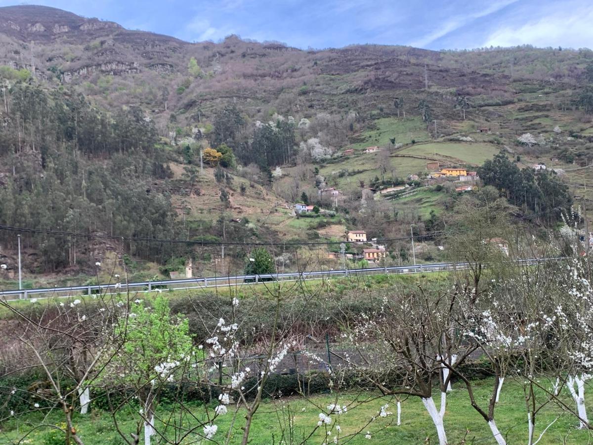 Casa Rural En Santa Cruz-Mieres Bustiello  Dış mekan fotoğraf