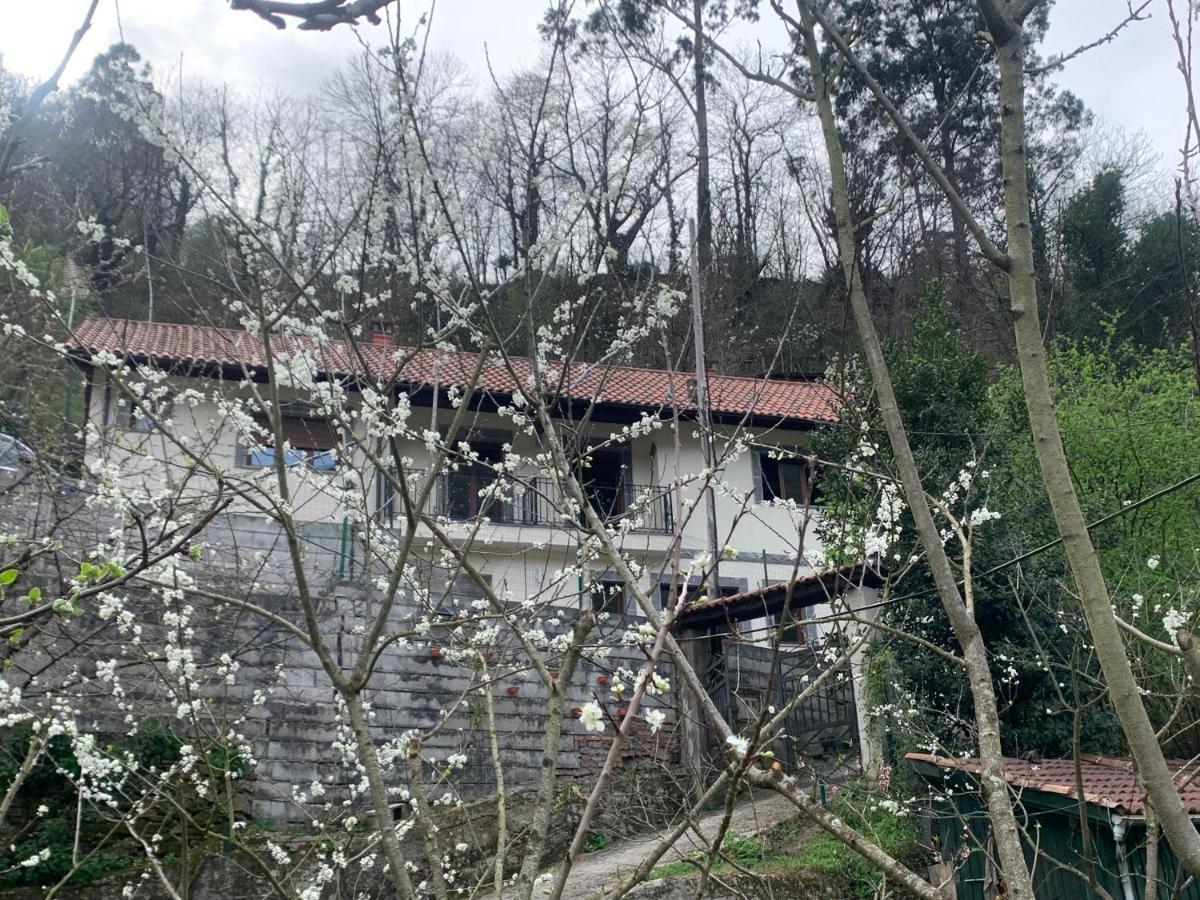 Casa Rural En Santa Cruz-Mieres Bustiello  Dış mekan fotoğraf