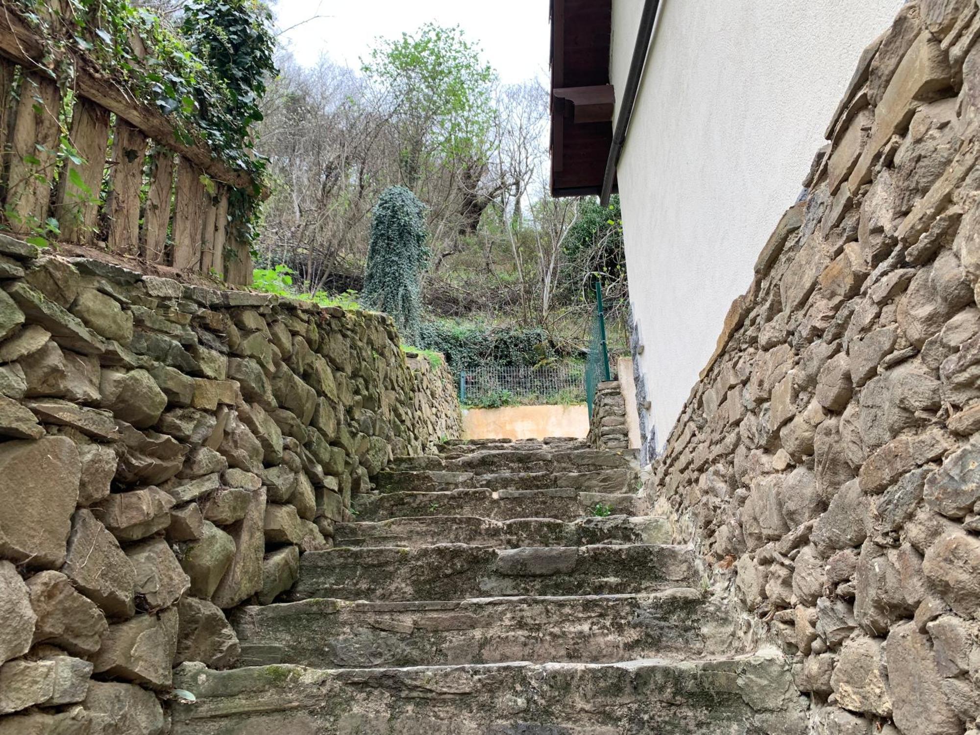 Casa Rural En Santa Cruz-Mieres Bustiello  Dış mekan fotoğraf