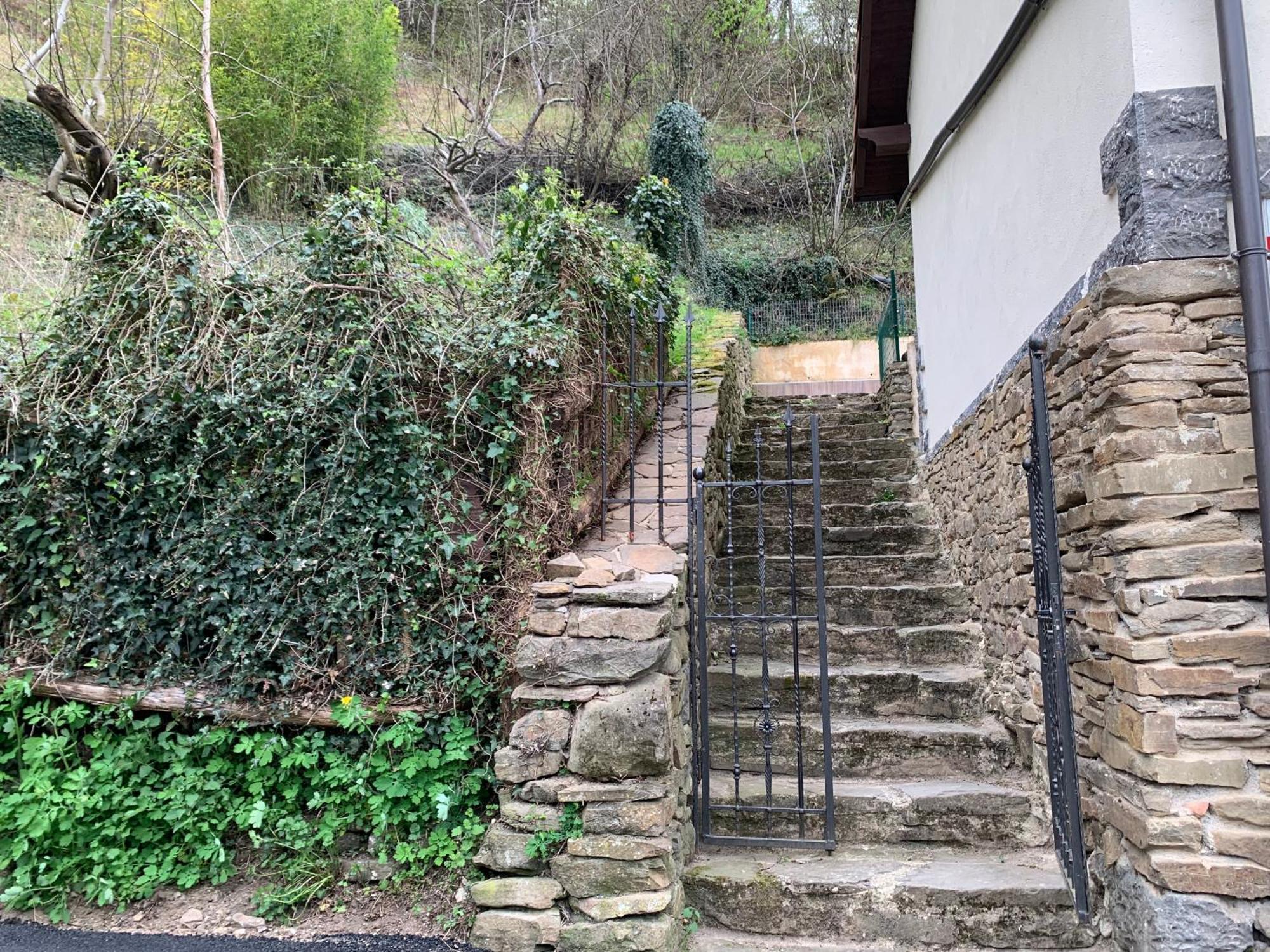 Casa Rural En Santa Cruz-Mieres Bustiello  Dış mekan fotoğraf